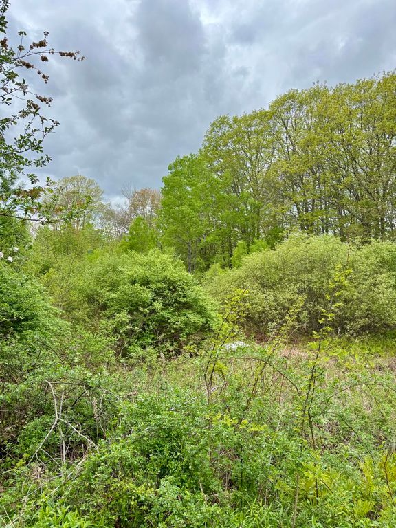 8 Digital Drive, Biddeford, ME 04005 — photo 5