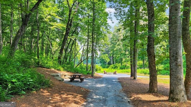 LT 188R Pinnacle Drive, Ellijay, GA 30540