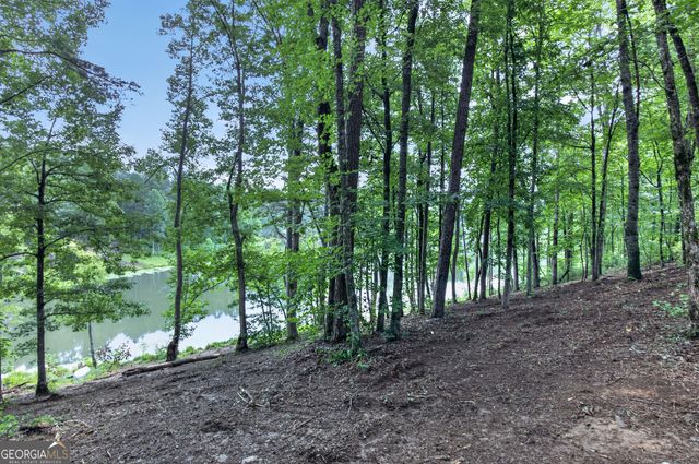 LT 188R Pinnacle Drive, Ellijay, GA 30540