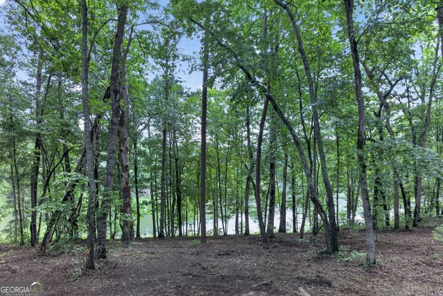 LT 188R Pinnacle Drive, Ellijay, GA 30540