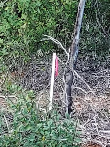 3082, 3060 Keswick Dam Boulevard, Redding, CA 96003