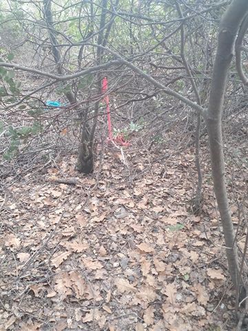 3082, 3060 Keswick Dam Boulevard, Redding, CA 96003