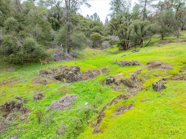 15438 Fay Rd, Alta Sierra, CA 95949