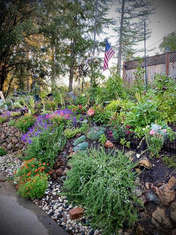 15438 Fay Rd, Alta Sierra, CA 95949