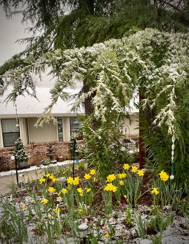 15438 Fay Rd, Alta Sierra, CA 95949