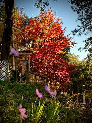 15438 Fay Rd, Alta Sierra, CA 95949