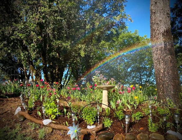 15438 Fay Rd, Alta Sierra, CA 95949