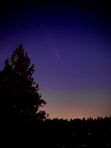 15438 Fay Rd, Alta Sierra, CA 95949