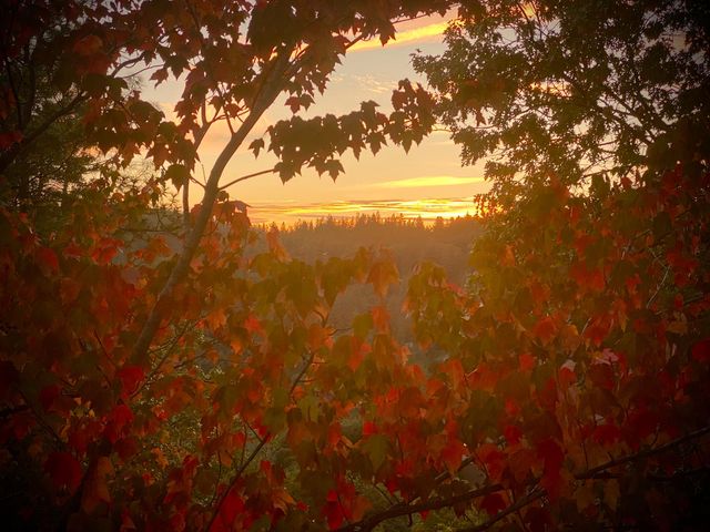 15438 Fay Rd, Alta Sierra, CA 95949