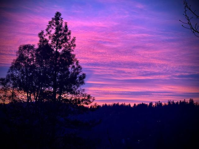 15438 Fay Rd, Alta Sierra, CA 95949