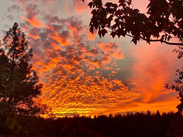 15438 Fay Rd, Alta Sierra, CA 95949