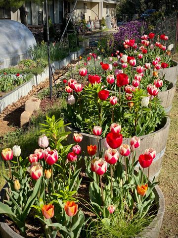 15438 Fay Rd, Alta Sierra, CA 95949