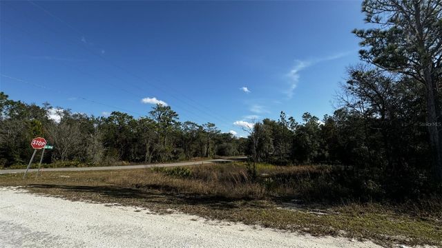 7398 WAGERS DRIVE, Webster, FL 33597