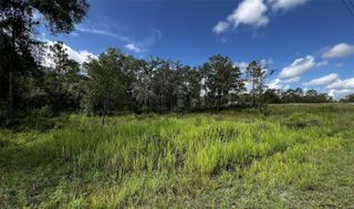 7398 WAGERS DRIVE, Webster, FL 33597