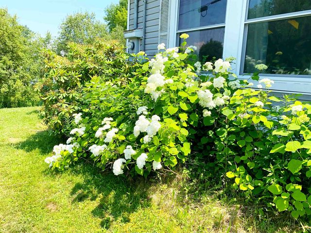 9 Buick Street, Barre Town, VT 05641