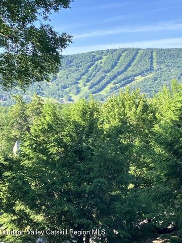 32 Glennamaddy Drive, Windham, NY 12496