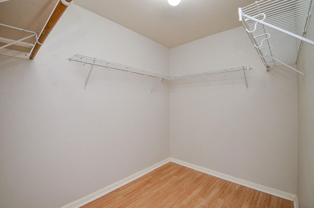 13118 Crescent Manor Lane, Houston, TX 77072