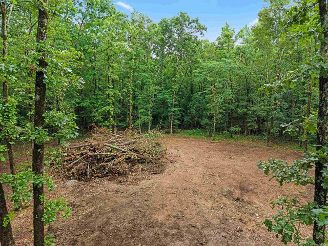 264 Meeks Loop, Hot Springs National Park, AR 71901