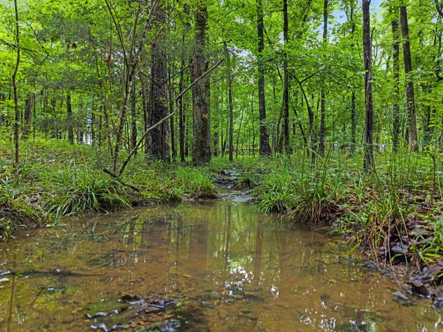 264 Meeks Loop, Hot Springs National Park, AR 71901