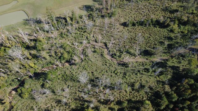 0 No Pone Valley Road, Georgetown, TN 37336
