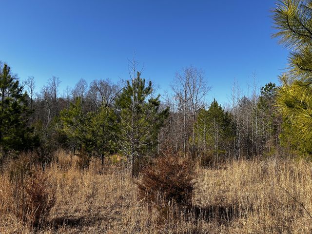 0 No Pone Valley Road, Georgetown, TN 37336
