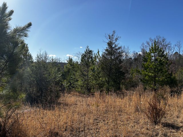 0 No Pone Valley Road, Georgetown, TN 37336
