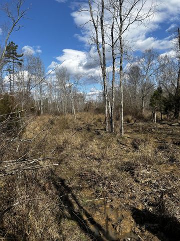 0 No Pone Valley Road, Georgetown, TN 37336