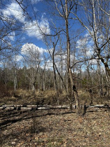 0 No Pone Valley Road, Georgetown, TN 37336