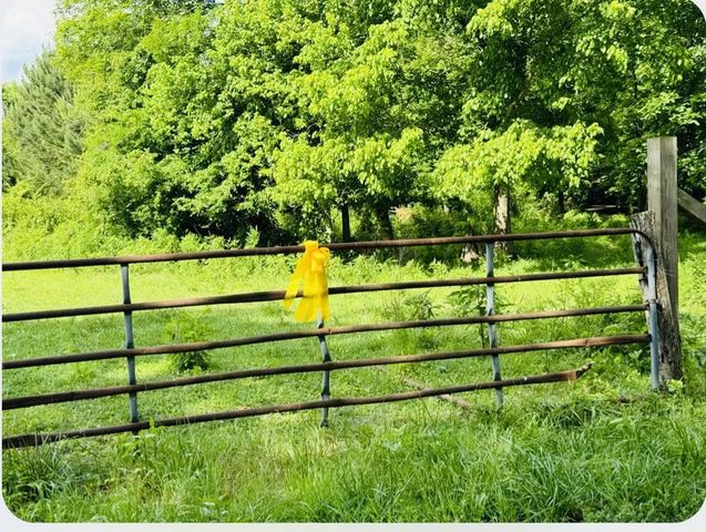 0 No Pone Valley Road, Georgetown, TN 37336