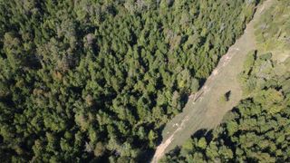 0 No Pone Valley Road, Georgetown, TN 37336