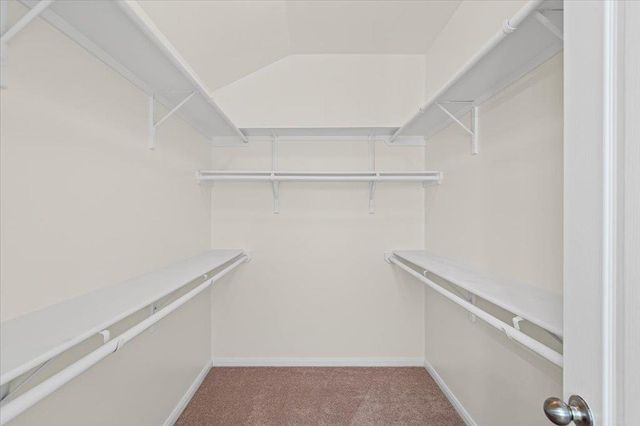 1408 Augusta Bend DR, Hutto, TX 78634