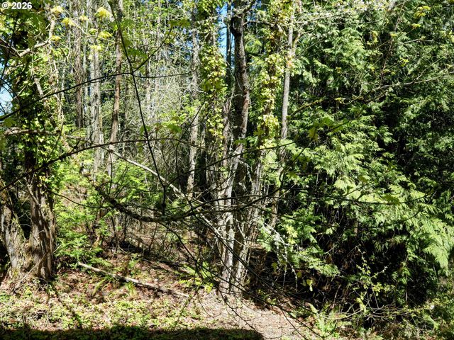 4801 Se PALADIN Ln, Hillsboro, OR 97123