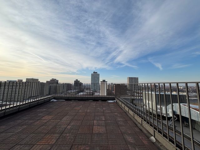 5401 S Hyde Park Boulevard 1206, Chicago, IL 60615