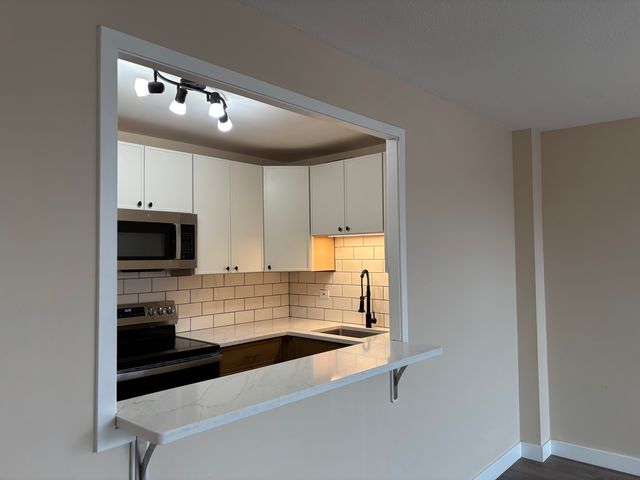 5401 S Hyde Park Boulevard 1206, Chicago, IL 60615