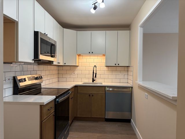 5401 S Hyde Park Boulevard 1206, Chicago, IL 60615