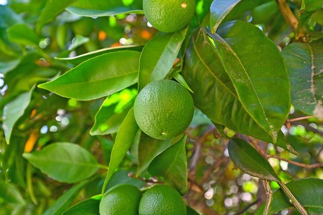 100 Hinkle Ct, Folsom, CA 95630