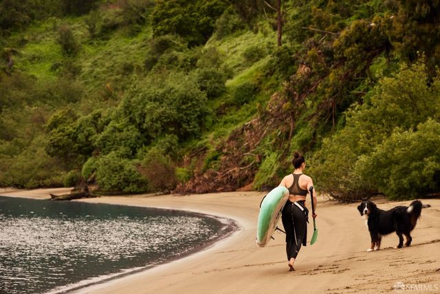 1 Bristol Court 201, San Francisco, CA 94130