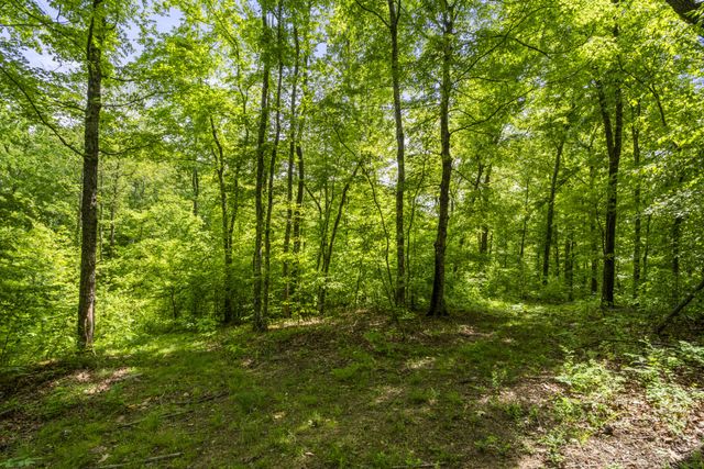444 Cooley Rd, Waverly, TN 37185