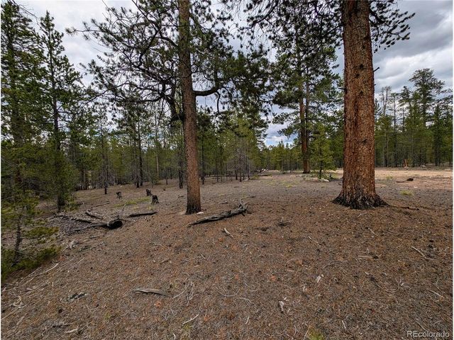 437 Juniper Dr, Twin Lakes, CO 81251