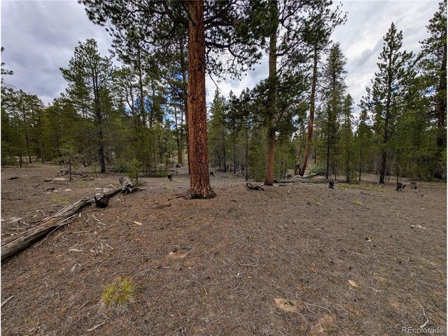 437 Juniper Dr, Twin Lakes, CO 81251