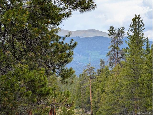 437 Juniper Dr, Twin Lakes, CO 81251