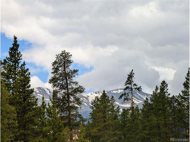 437 Juniper Dr, Twin Lakes, CO 81251