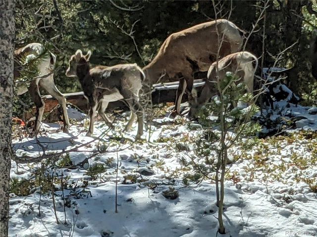 437 Juniper Dr, Twin Lakes, CO 81251