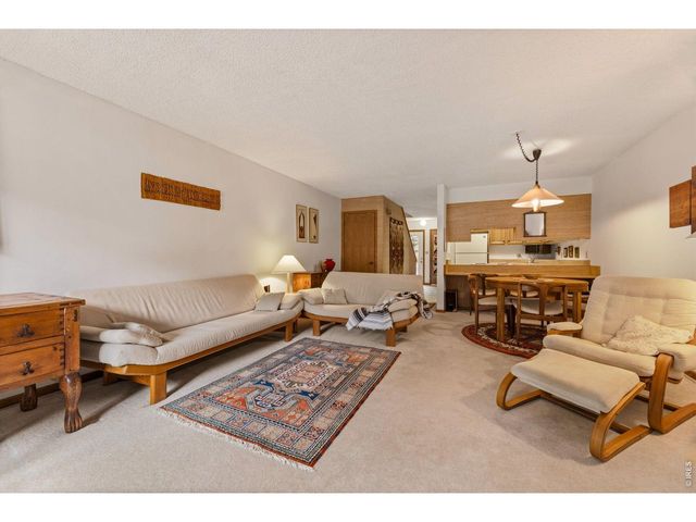 620 Macgregor Ave 3, Estes Park, CO 80517