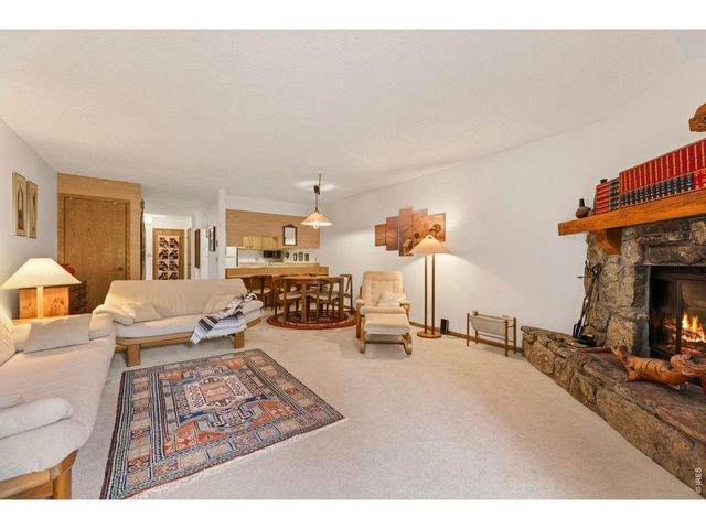 620 Macgregor Ave 3, Estes Park, CO 80517