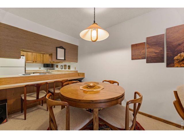 620 Macgregor Ave 3, Estes Park, CO 80517