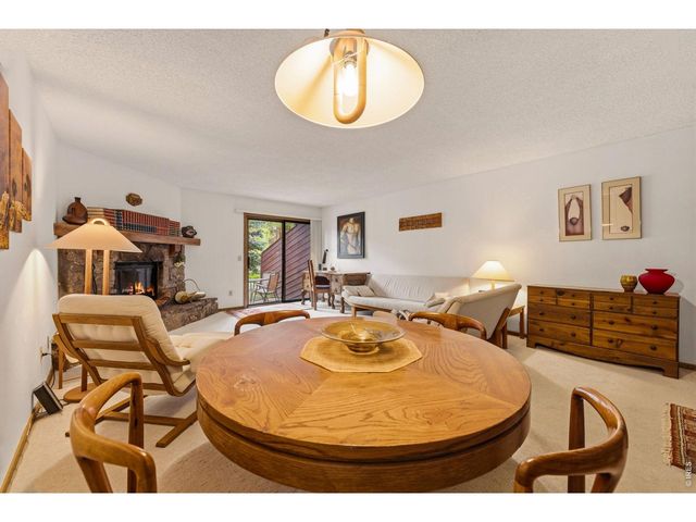 620 Macgregor Ave 3, Estes Park, CO 80517
