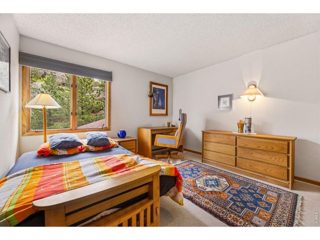 620 Macgregor Ave 3, Estes Park, CO 80517