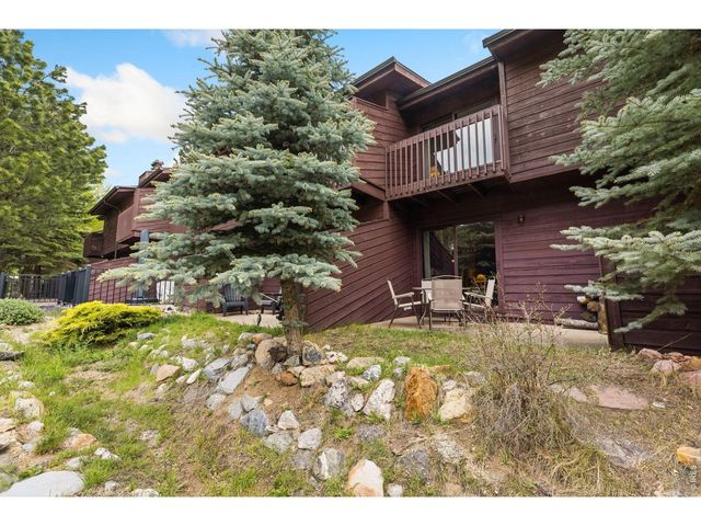 620 Macgregor Ave 3, Estes Park, CO 80517