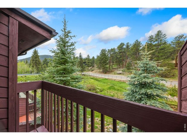 620 Macgregor Ave 3, Estes Park, CO 80517